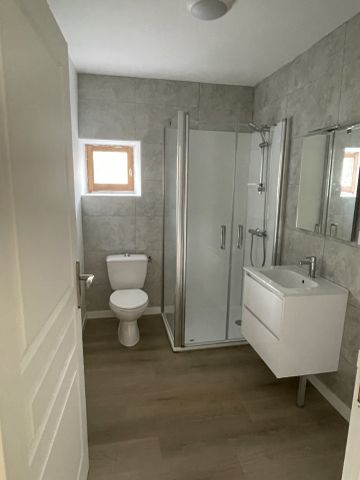 Location Appartement 3 pièces 52m² CHATEAU GONTIER 53200 - Photo 3