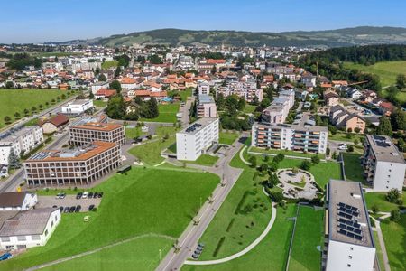 Superbe attique entièrement rénové - Photo 5