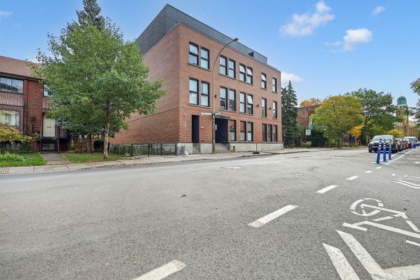 3844 Rue Saint-Jacques, Montréal, QC - Photo 1