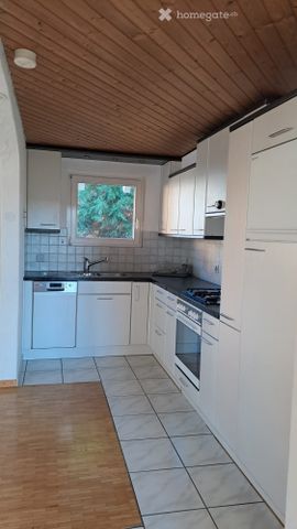 Originelle 1 1/2 Wohnung in Winterthur-Seen mit zus., sep. Zimmer (Beschreibung am Schluss lesen!) - Foto 3