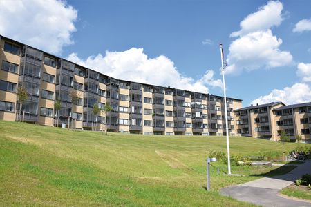 Afd. 6 Bjellerupparken - Photo 2