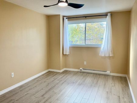 For Lease - 156 Moira Street Unit# Unit 3, Belleville, Ontario - Photo 4