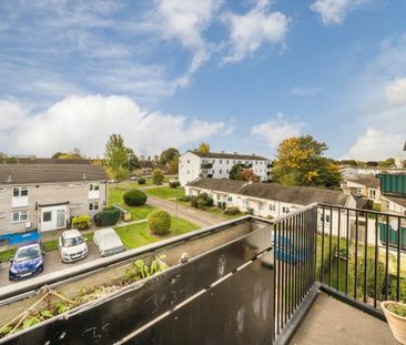 Beechwood Avenue - Photo 1