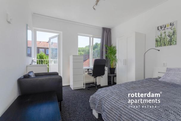 Lepelaarsingel, Rotterdam - Foto 1