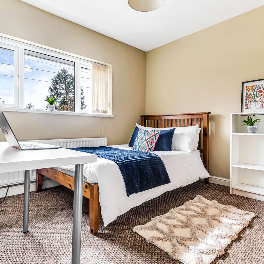 Exquisite rooms for Professionals - Photo 1