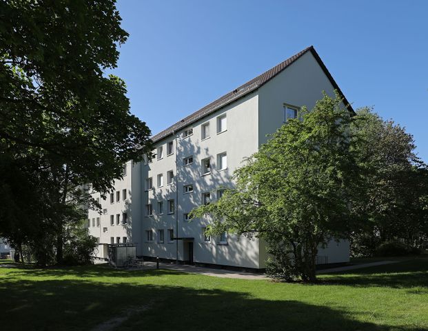 Schöne 3-Zimmer-Wohnung in der Nordstadt // 1.OG links - Foto 1