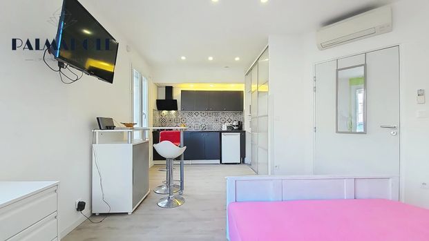 Location Appartement 1 pièce 21m² PERPIGNAN 66100 - Photo 1