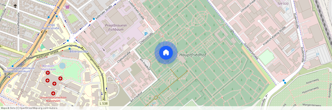 68167 Baden-Württemberg - Mannheim