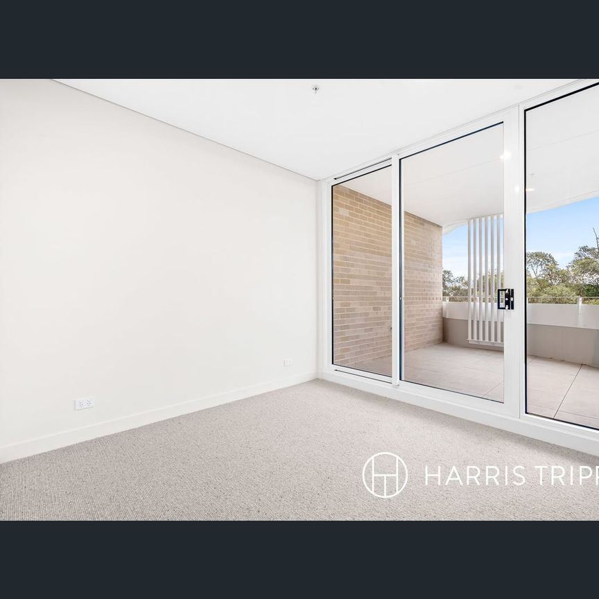 C308/165 Milton Street, Ashbury, NSW 2193 - Photo 1