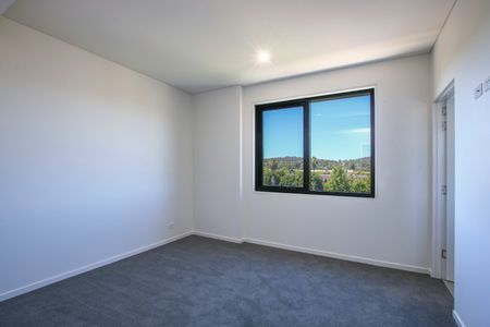 203/425 David Street, Albury NSW 2640 - Townhouse For Rent | Domain - Photo 2