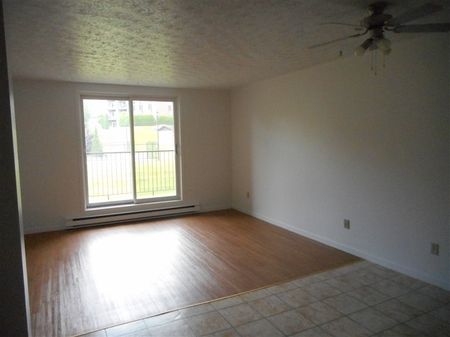 2000-209 Rue Gauthier,(juillet) Sherbrooke, QC J1H 6A5 4½ - Photo 4