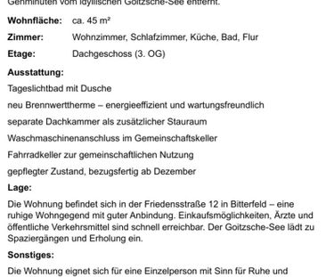 Charmante 2-Raum-DG-Wohnung in Bitterfeld – für eine Person - Foto 1