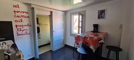 Studio 22m2 meublé centre Colmar - Photo 4