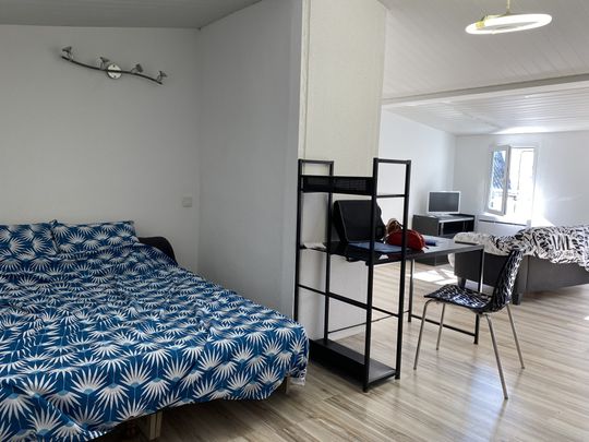 Location Appartement 1 pièce 28m² CASTELNAUDARY 11400 - Photo 1