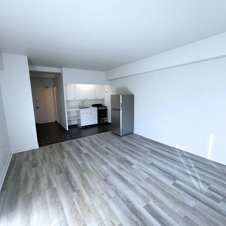 Renovated studio available NOW – 175 Sherbrooke O - Photo 1