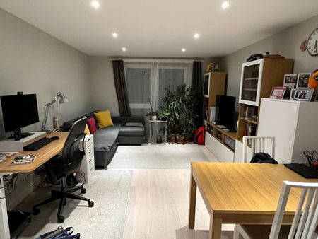 1 Bed Flat, Plough Road, SW11 - Photo 3