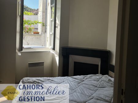 Location Appartement 2 pièces 26m² CAHORS 46000 - Photo 5