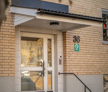 Fortunagatan 16 - Photo 4