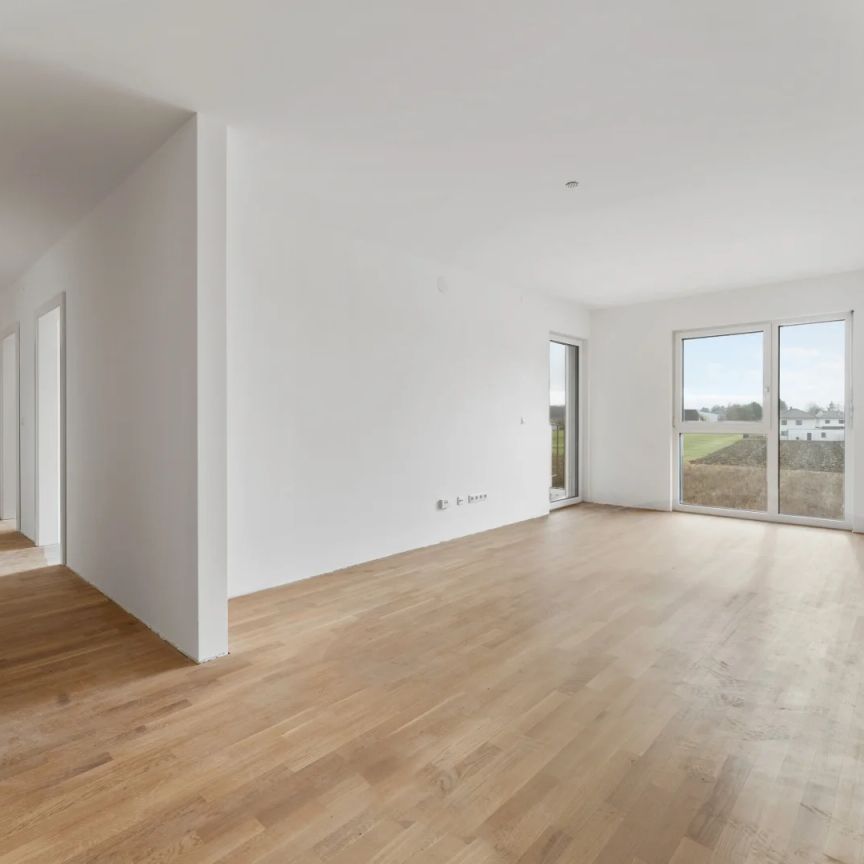 53,49qm 2Zi W-Gartenwohnung, Erstbezug, ökologische Bauweise - Photo 1