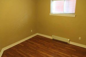 $995 / 2br – 700ft2 – 2 bedrooms & 1 bath basement suite (Port Coquitlam) - Photo 1