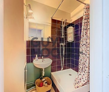 Appartement L Hay Les Roses 1 pièce(s) 17.57 m2 - Photo 4