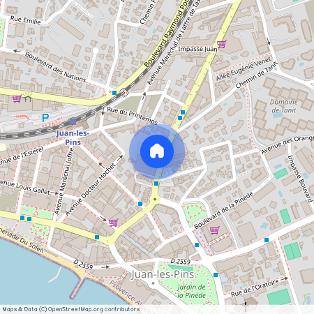 06160, Juan Les Pins