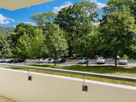 Type 2 plein sud au calme - Photo 4