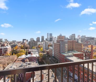 Condo for rent, Montréal (Le Plateau-Mont-Royal) - Photo 1