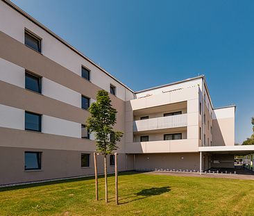 Betreutes Wohnen in Hollabrunn - Foto 3