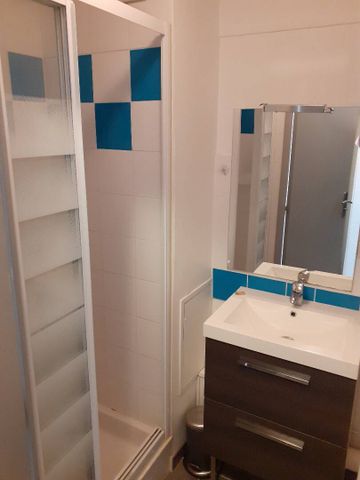 Studio - à 10mn à pied de la Gare sud et du CHU - Photo 3