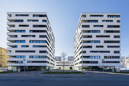 2 ½ Zimmer-Wohnung in Locarno mieten - Foto 3