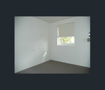 GREAT PRICE, GREAT LOCATION, Completely Refreshed Right Here In New... - Photo 2