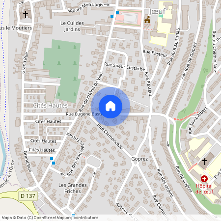 19 rue Eugène Bastien, 54240, Joeuf