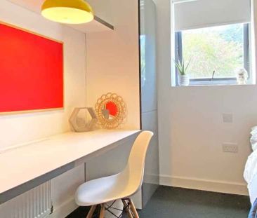 Standard Studio Plus - Photo 6