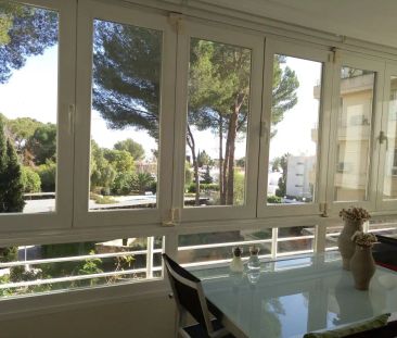 Calvià - Photo 4