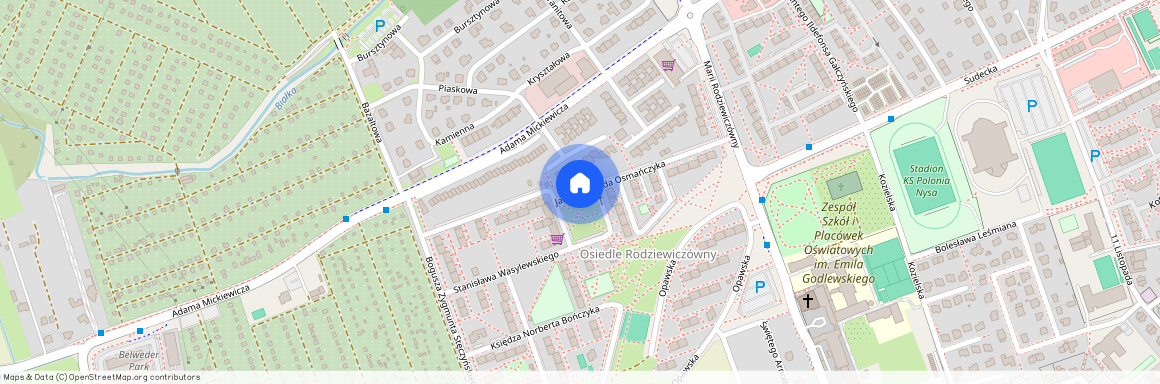 ul. Jana Edmunda Osmańczyka, Nysa, Nysa, nyski, opolskie