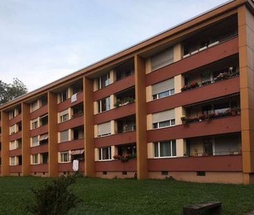 3 Zimmer, 68 m², 2. Stock - Photo 4