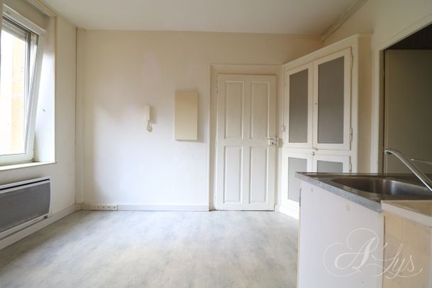 THIONVILLE – Appartement 2 pièces – Une chambre – Cave - Photo 1