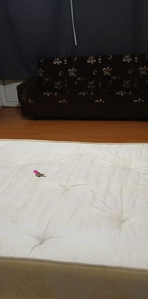 Swinford Garden SW9 7LE - Photo 1