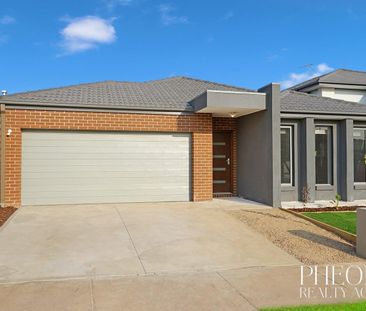 ULTIMATE FAMILY ENTERTAINER - Photo 4