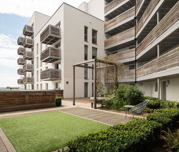 2 bedroom apartment - Photo 4
