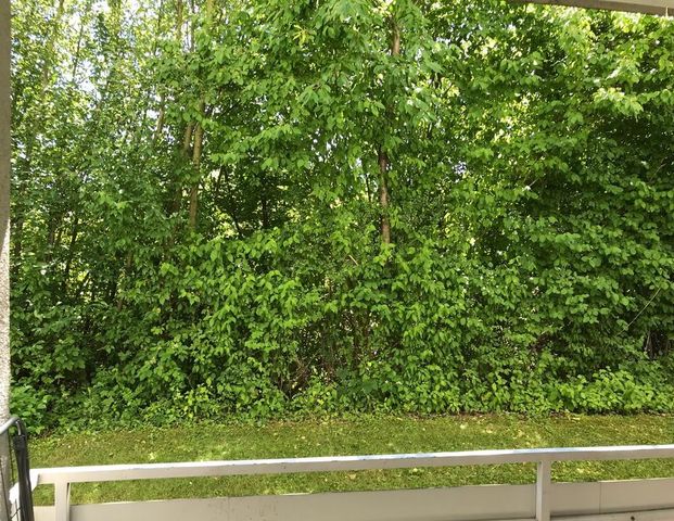 ALFELD, tolle Gelegenheit, 50qm, 2 ZKB teilmöblierte, mit Balkon - Photo 1