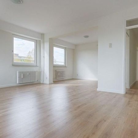 Hongarenburg, 2591 XB Den Haag, Nederland - Foto 4