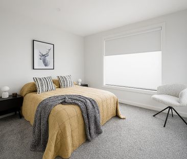 A Cut Above the Rest! - Photo 5