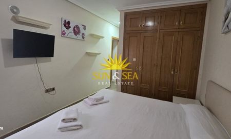 3 BEDROOM APARTMENT IN TORREVIEJA - Photo 4