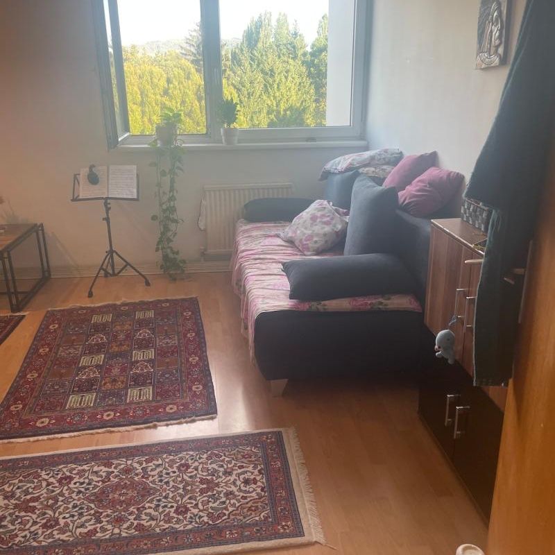 Günstige Einraumwohnung in zentraler Urfahraner Lage... - Photo 1