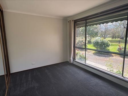 Toongabbie Delight - Photo 4