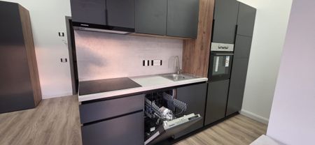 New and modern one-room apartments for rent in Cluj-Napoca, a 5-minute walk from the University of Medicine and Pharmacy and a 5-minute walk from the University of Agricultural Sciences and Veterinary Medicine - Fotografie 2