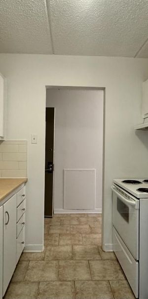 Appartement éclairé et chauffé avec piscine extérieur - Photo 1