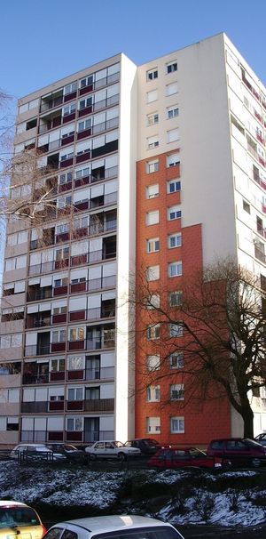 Appartement COULAINES T3 - Photo 1